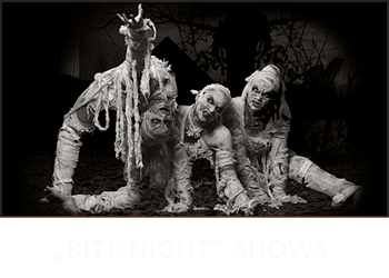 Link zu Halloween Bite Night Shows
